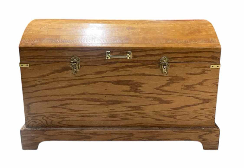 Chest/Trunk