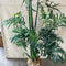 Plant / Greenery