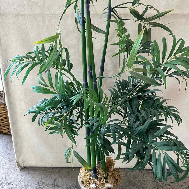 Plant / Greenery
