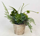 Plant / Greenery