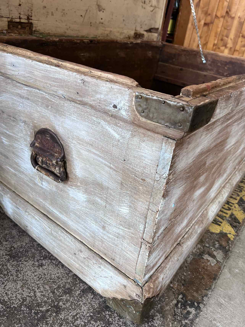 Trunk