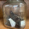 Collectibles
