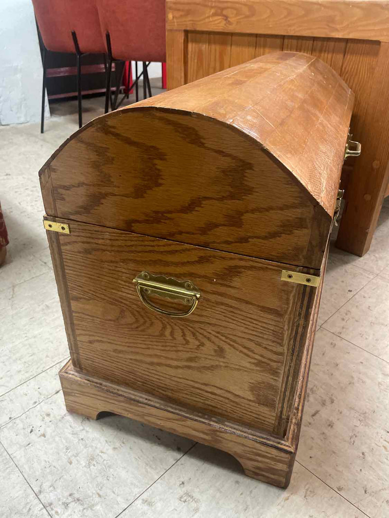 Chest/Trunk