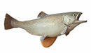 Taxidermy