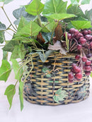 Plant / Greenery