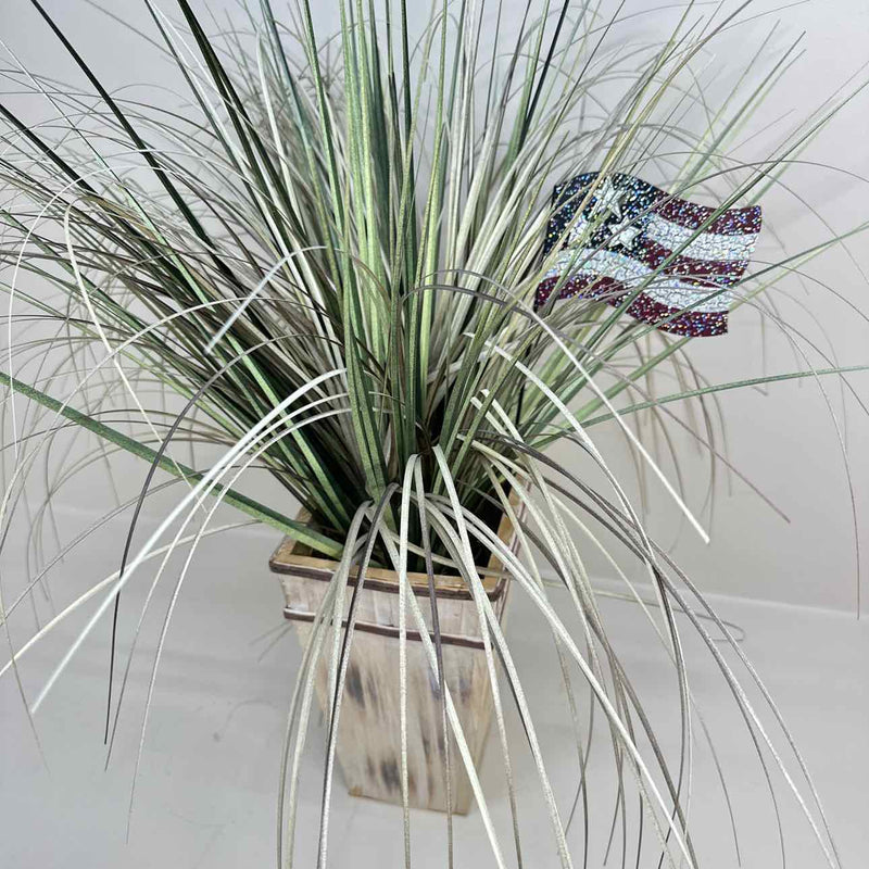Plant / Greenery