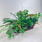 Plant / Greenery