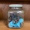 Collectibles