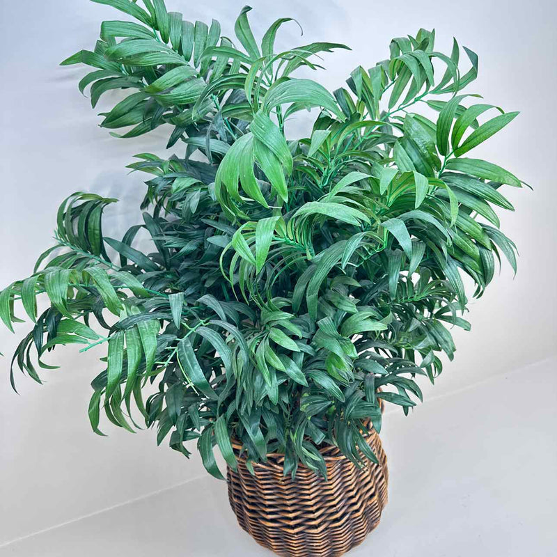 Plant / Greenery