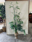 Plant / Greenery