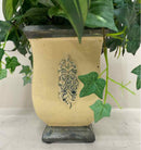 Plant / Greenery