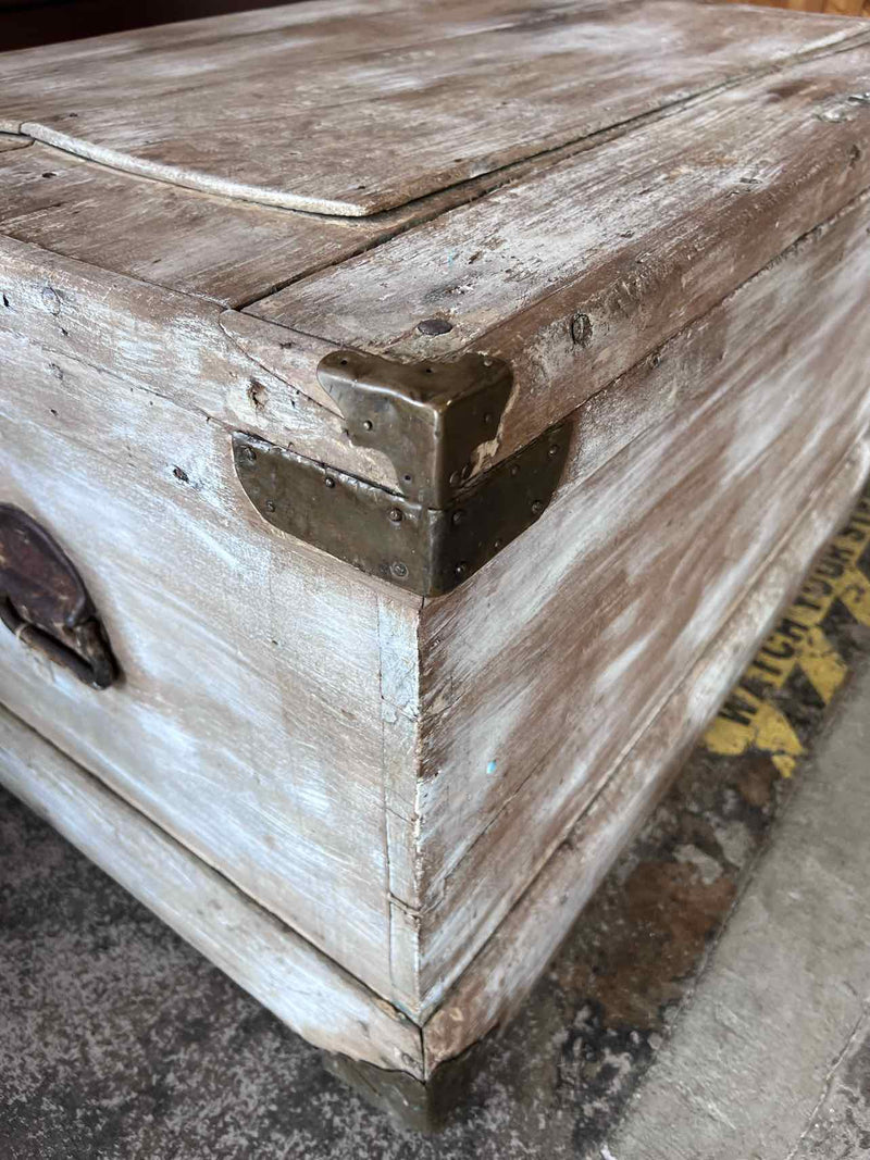 Trunk