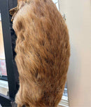 Taxidermy