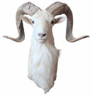 Taxidermy