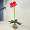 Plant / Greenery