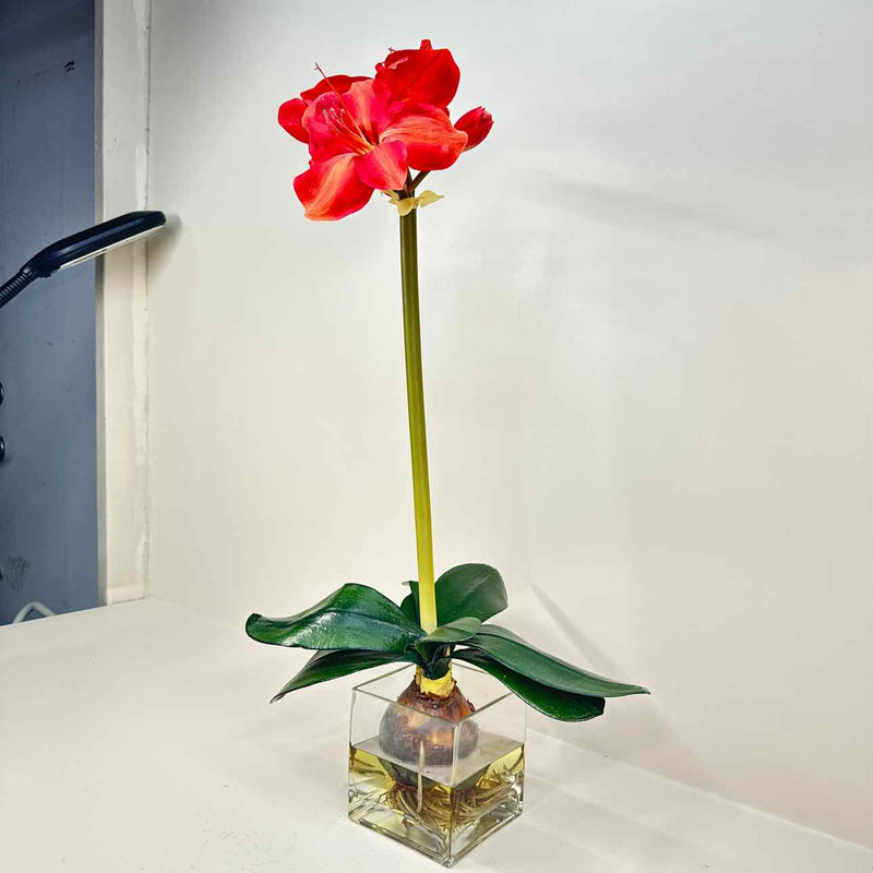 Plant / Greenery