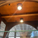 Curio
