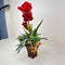 Plant / Greenery