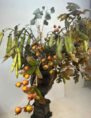 Plant / Greenery