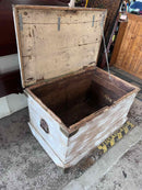 Trunk