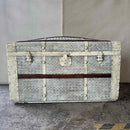 Trunk