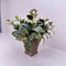 Plant / Greenery