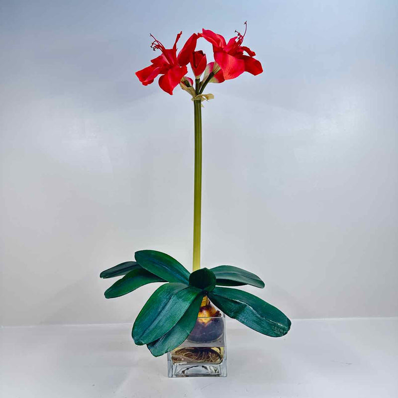 Plant / Greenery