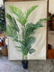 Plant / Greenery