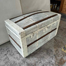 Trunk