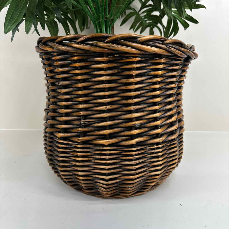 Plant / Greenery