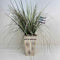 Plant / Greenery