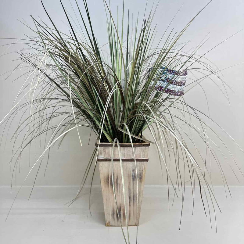 Plant / Greenery