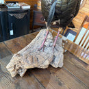 Taxidermy