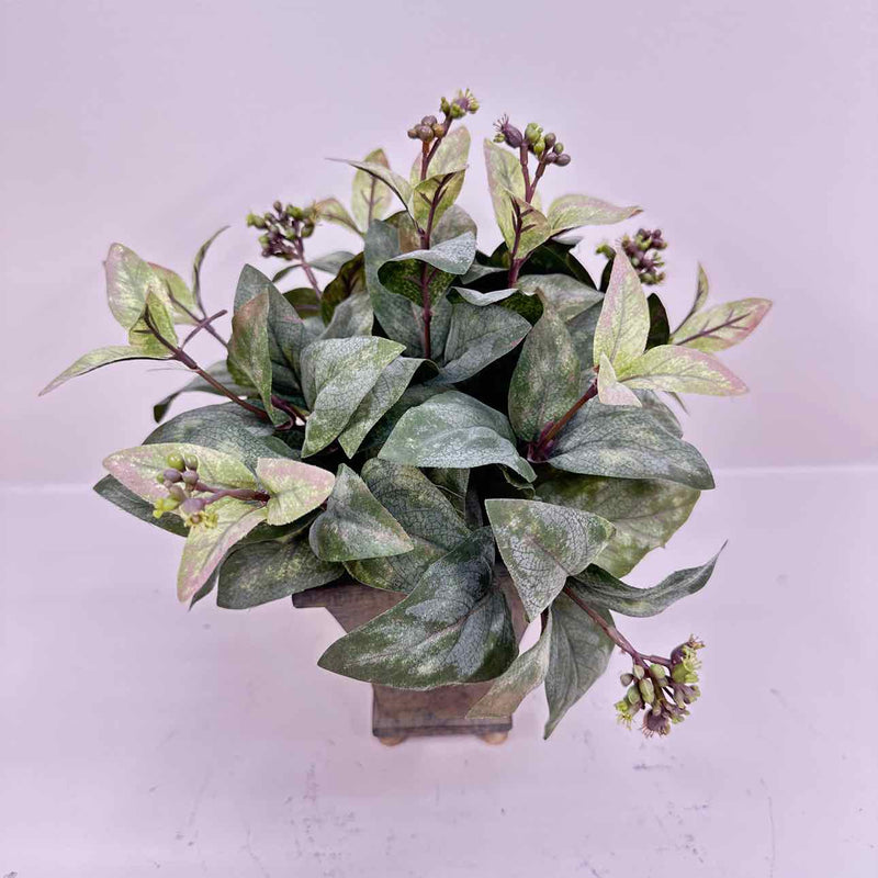 Plant / Greenery
