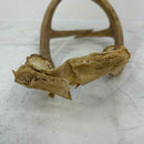Taxidermy