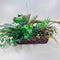 Plant / Greenery