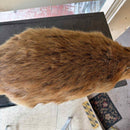 Taxidermy