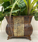 Plant / Greenery