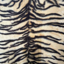 Trunk