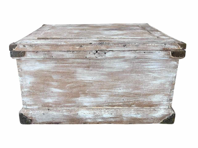 Trunk