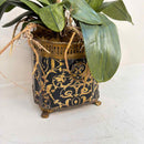 Plant / Greenery