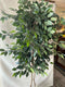 Plant / Greenery