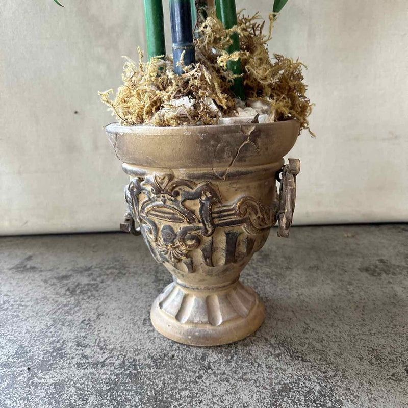 Plant / Greenery