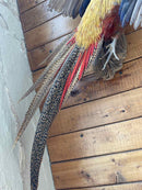 Taxidermy