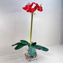 Plant / Greenery