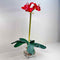 Plant / Greenery