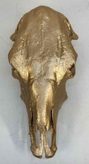 Taxidermy