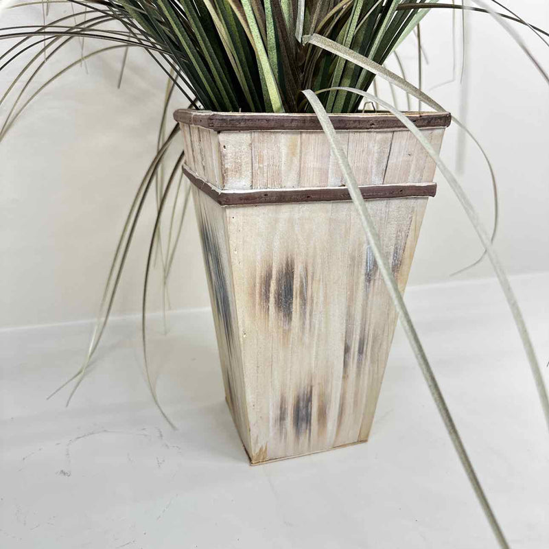 Plant / Greenery