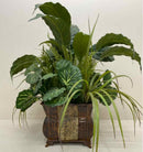 Plant / Greenery