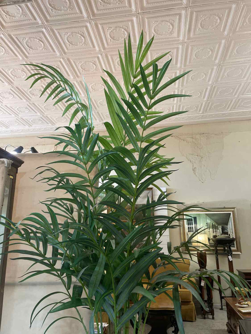 Plant / Greenery